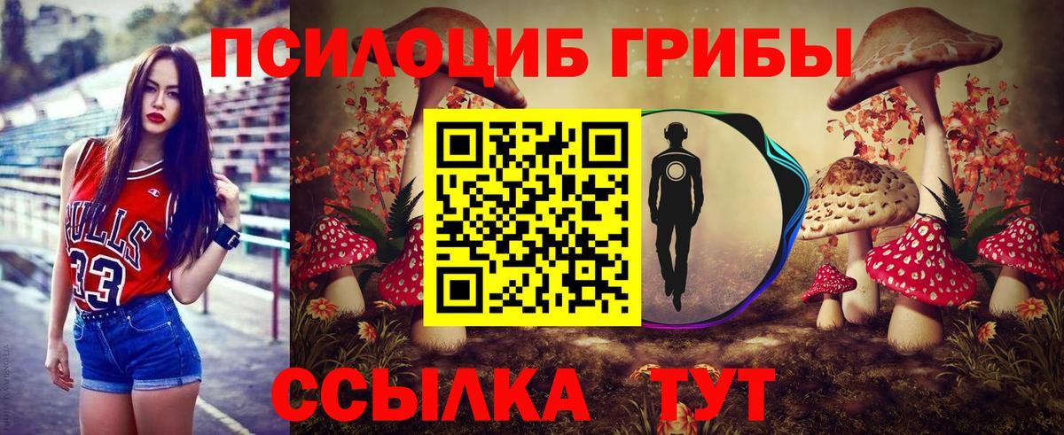 где можно купить наркотик  Псилоцибиновые грибы Psilocybine cubensis  Галлюциногенные грибы мицелий  Вход с VPN  Гатчина 