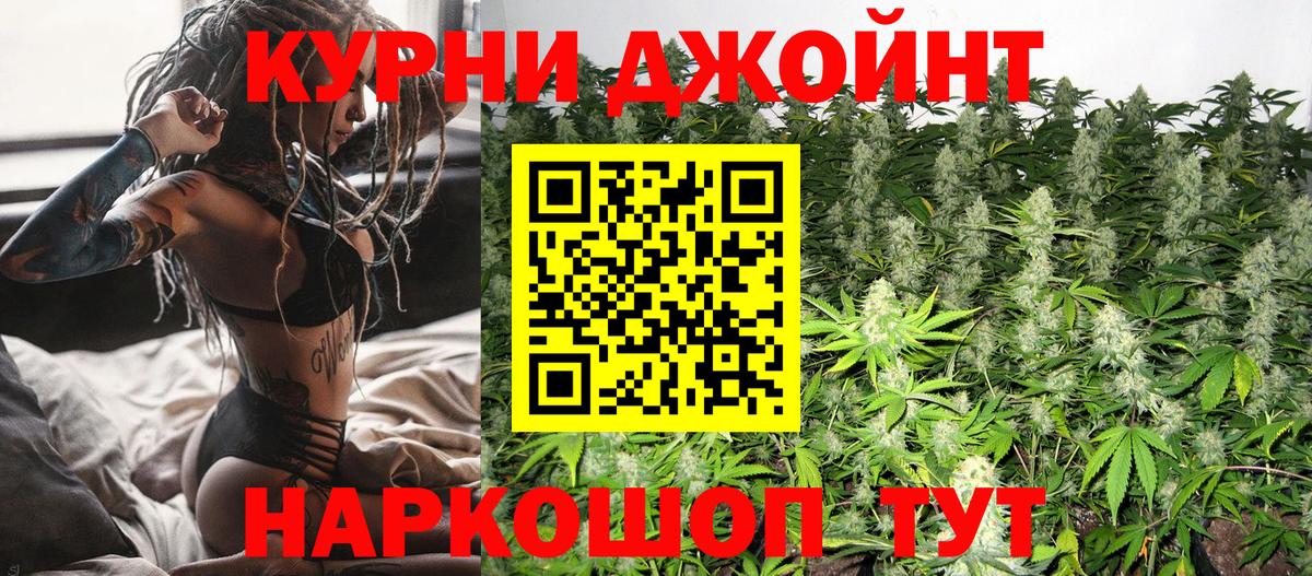 Конопля SATIVA & INDICA Гатчина